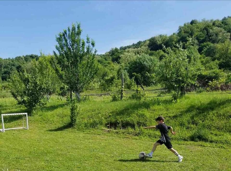 Zelinjski Vidikovac Villa Zvornik Eksteriør bilde